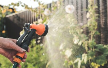 garden hose and spray gun on hand to water the green field