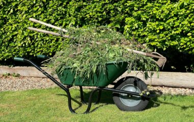 Gardening - wheelbarrow full of weeds