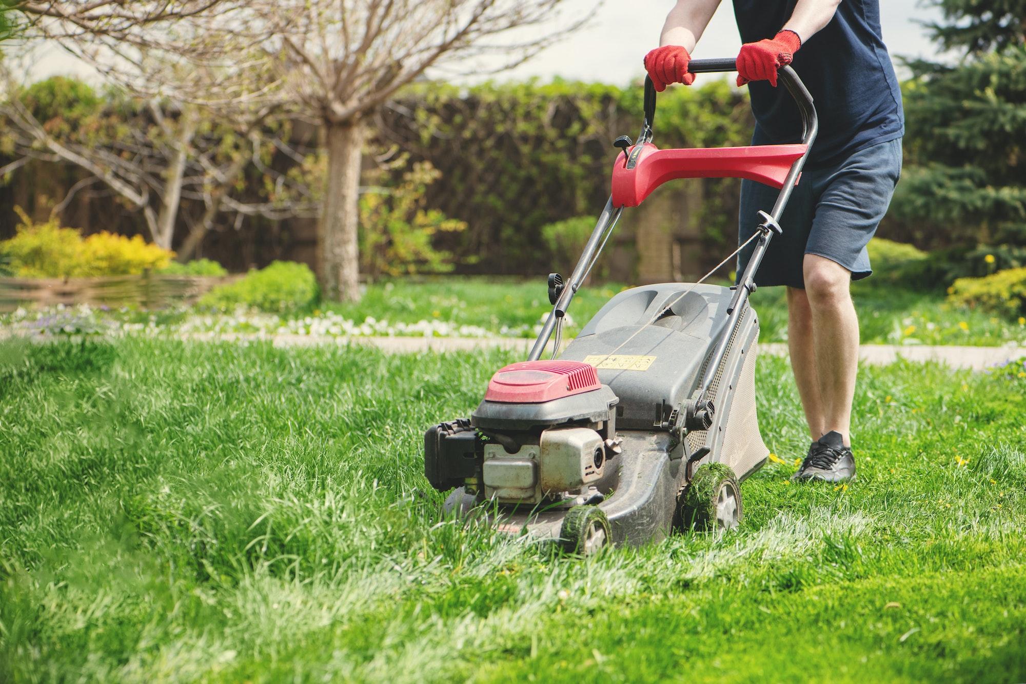 Man cutting the grass with loan mover.